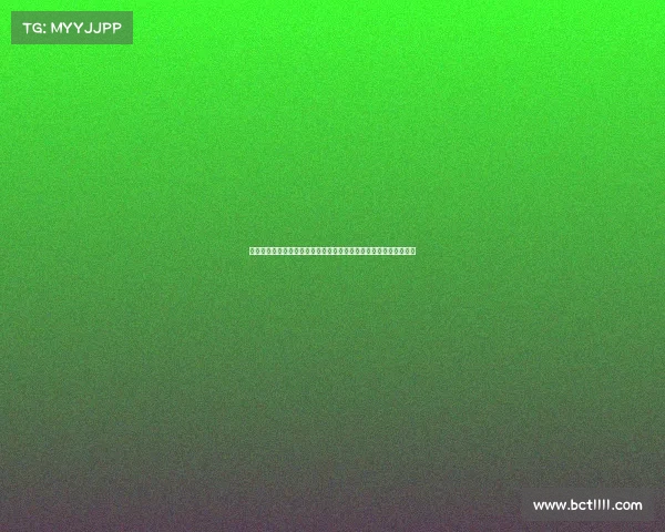 赛事运营全流程优化与创新探索打造卓越观赛体验提升赛事品牌价值